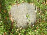 image of grave number 188085